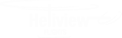 Heliview Logo